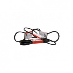 Zestaw pasów klinowych Fendt X696612000000 - 74715590 - TraktorParts.pl - 1