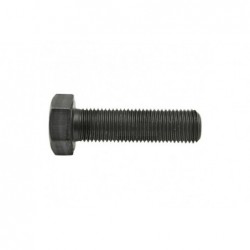 Śruba z łbem sześciokątnym 485961032 - TraktorParts.pl - 1