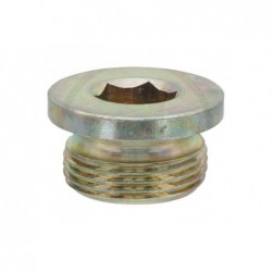 Zatyczka McCormick 159000.065050 - L157599 - L169940 - TraktorParts.pl - 1