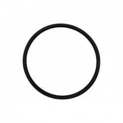 Pierścień uszczelniający Landini 3009744X1 - 72714021 - TraktorParts.pl - 1