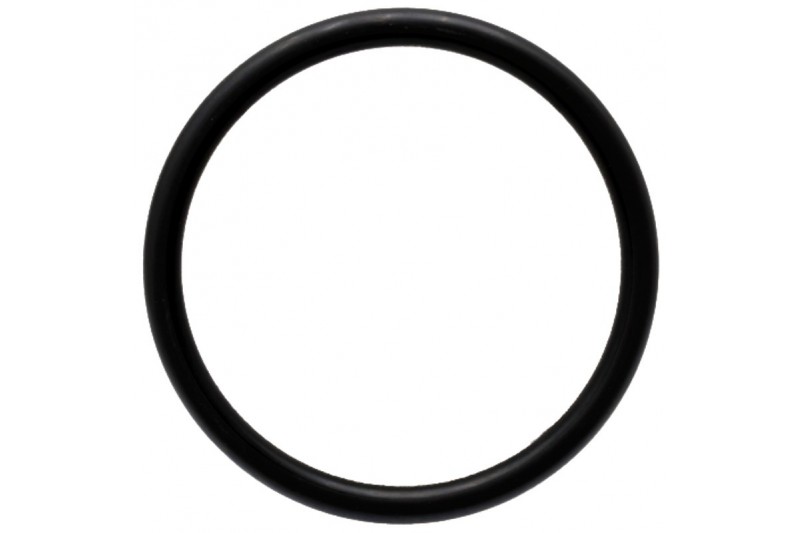 Oring Fendt X548956401000 - TraktorParts.pl - 1