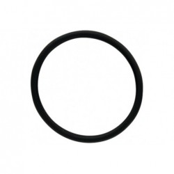 Oring Fendt - 159001052919 - TraktorParts.pl - 1