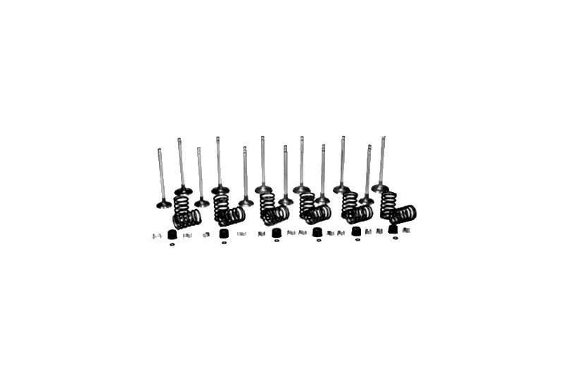 Zestaw zaworów Vapormatic VPA6028 - TraktorParts.pl - 1