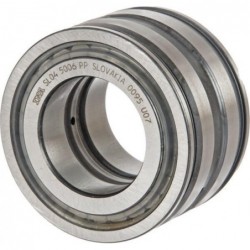 Łożysko walcowe INA FAG SL045006PP - TraktorParts.pl - 1