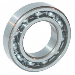Łożysko kulkowe zwykłe 20x52x15 mm INA FAG 6304 - TraktorParts.pl - 1