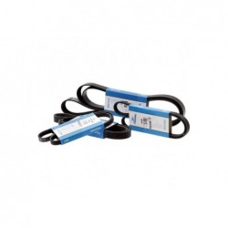Pas klinowy rowkowany Steyr 87710660 - 87802644 - 8624PK1083 - TraktorParts.pl