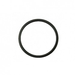 Oring Steyr 132000060703 - 74702110 - TraktorParts.pl