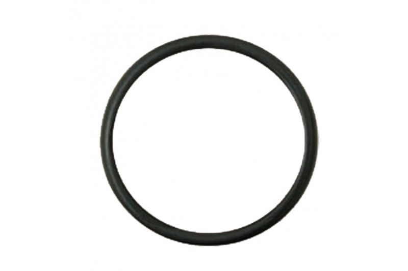 Oring Steyr 299937A1 - 74702239 - TraktorParts.pl