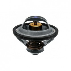 Termostat Steyr 2856543 - 87803070 - 74717124 - TraktorParts.pl