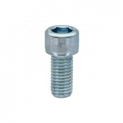 Śruba Deutz-Fahr - 485912 12X025 08V - TraktorParts.pl - 1