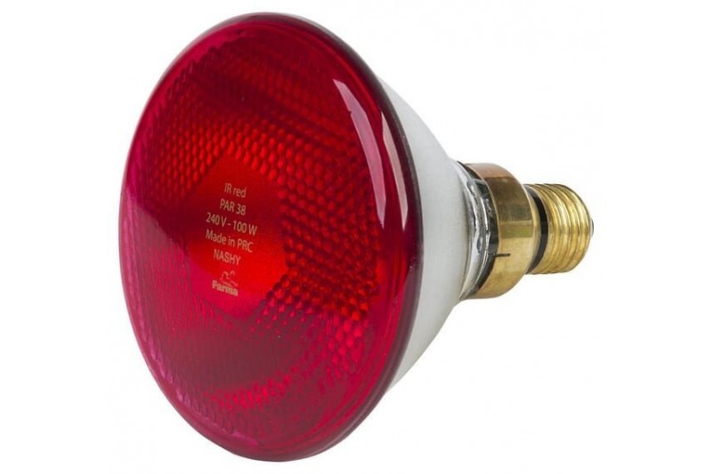 Promiennik PAR 175W czerwony Farma - TraktorParts.pl - 1